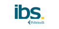 IBS IT